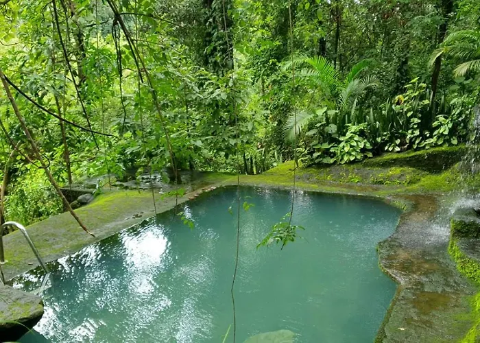 Jungle Retreat Wayanad Villa
