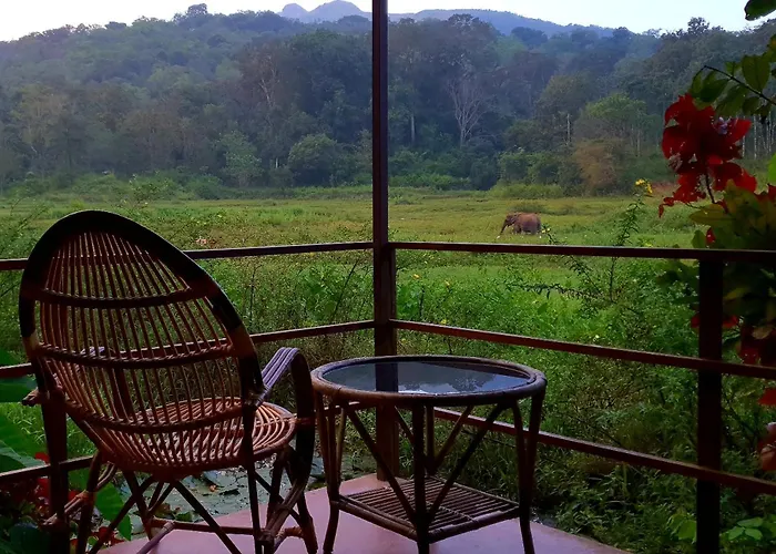 Jungle Retreat Wayanad Villa